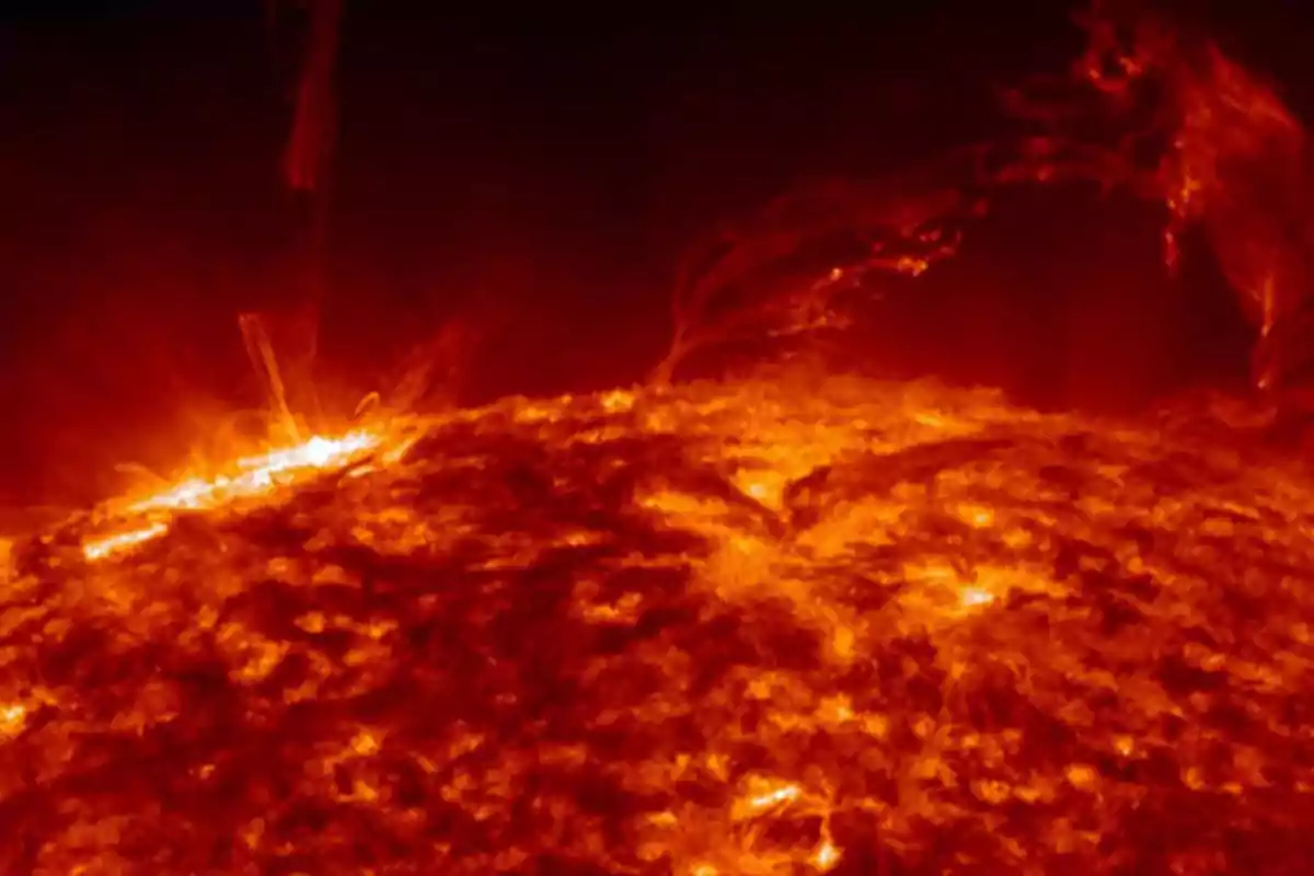 Imagen de la superficie solar con erupciones y prominencias brillantes.