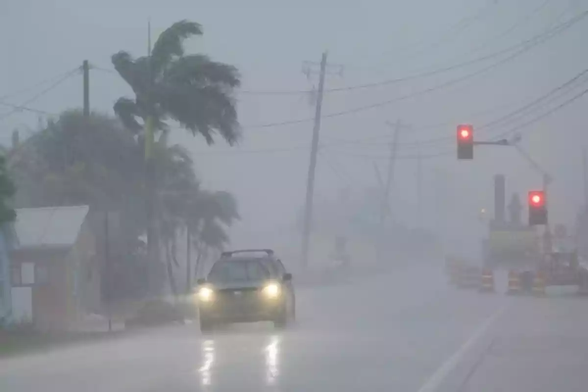 Un coche circula por una carretera bajo una intensa lluvia y fuertes vientos con palmeras inclinadas y un semáforo en rojo.