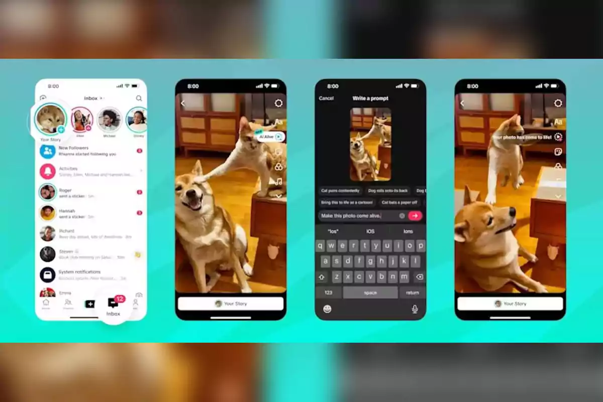 The image shows an application interface on a mobile phone with several screens, where a chat, a photo of a dog and a cat, and options to animate the image using artificial intelligence can be seen. The image shows an application interface on a mobile phone with several screens, where a chat, a photo of a dog and a cat, and options to animate the image using artificial intelligence can be seen.