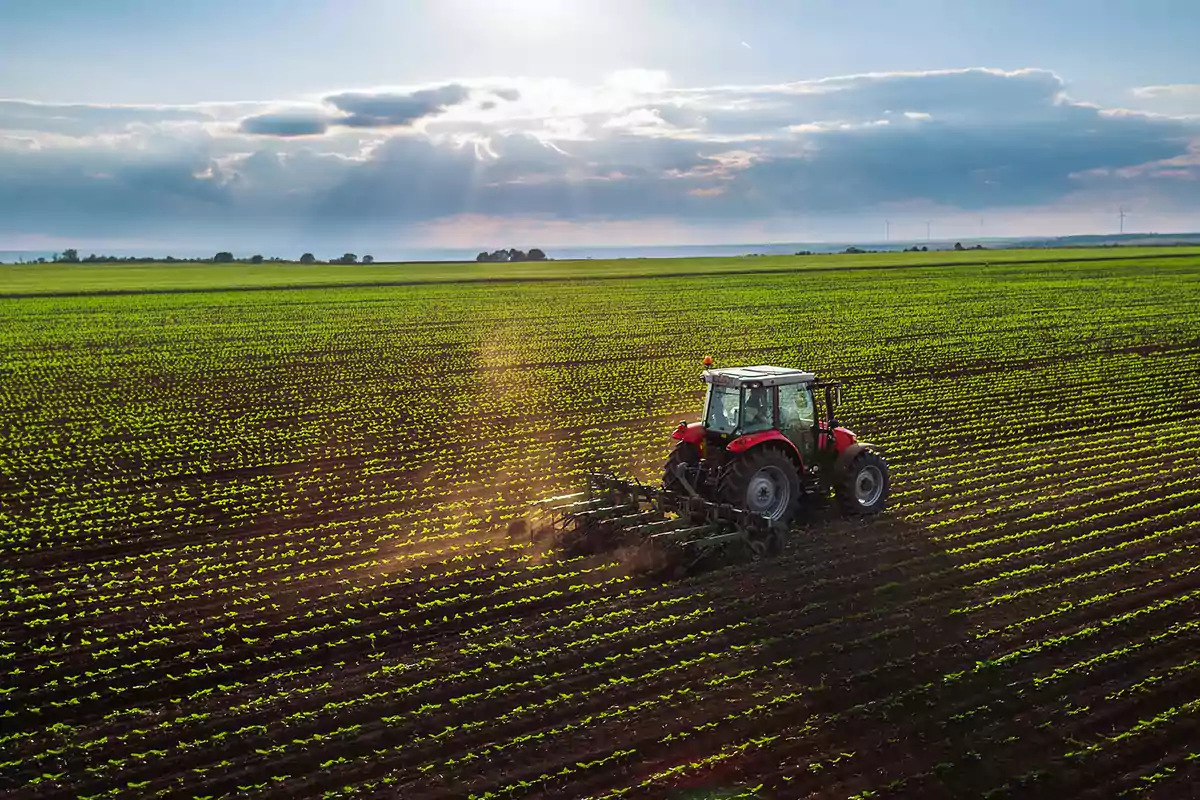 Tractor rojo trabajando en un campo verde bajo un cielo parcialmente nublado con rayos de sol. Tractor rojo trabajando en un campo verde bajo un cielo parcialmente nublado con rayos de sol.