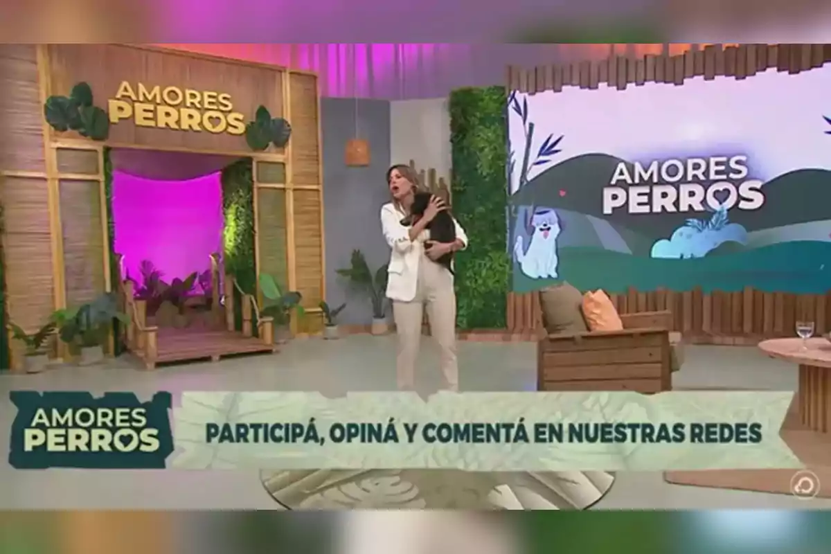 A person holds a dog on a television set decorated with plants and a sign that says A person holds a dog on a television set decorated with plants and a sign that says
