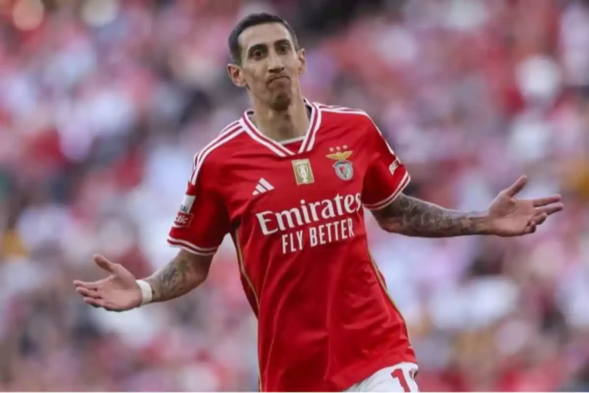 Benfica player in a red uniform on the field. Benfica player in a red uniform on the field.