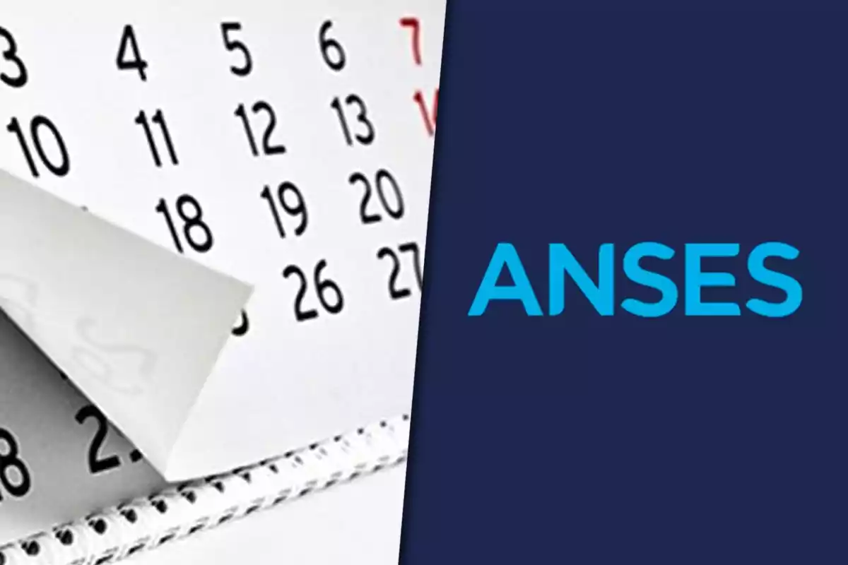 Calendar with days of the month next to the ANSES logo on a blue background.