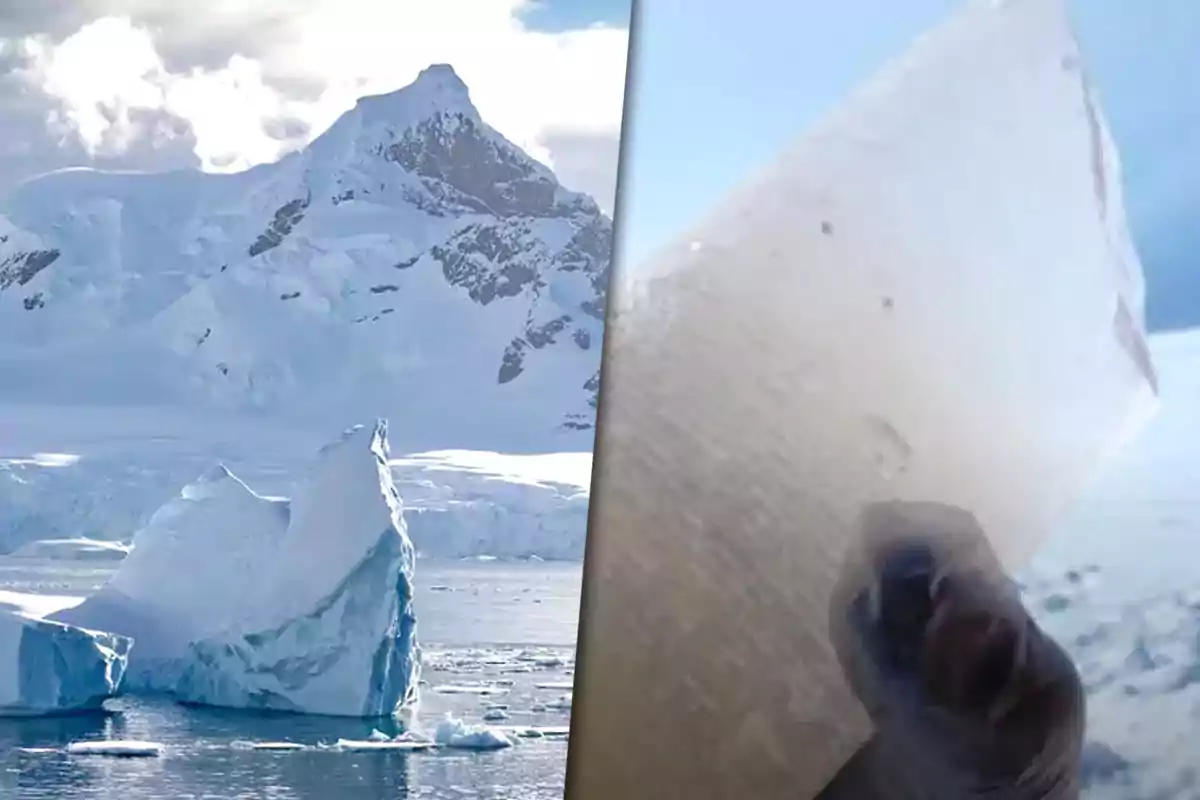 Snowy mountains and an iceberg in the sea next to a hand holding a piece of transparent ice