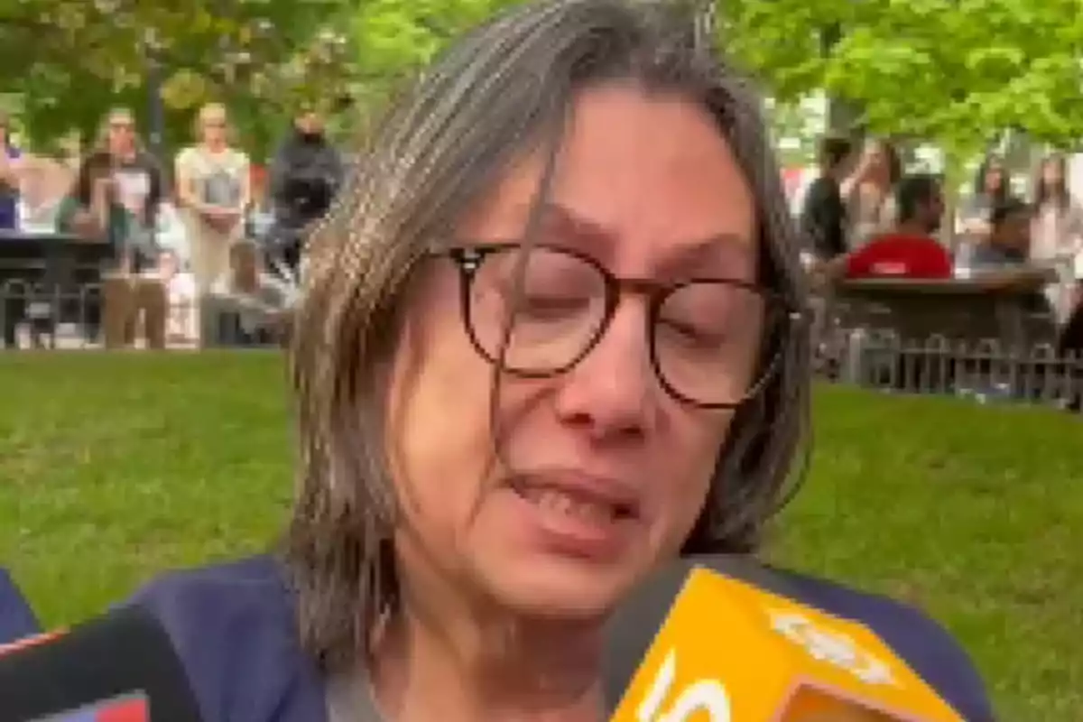 Una persona con gafas y cabello canoso está hablando frente a varios micrófonos en un parque con personas de fondo.