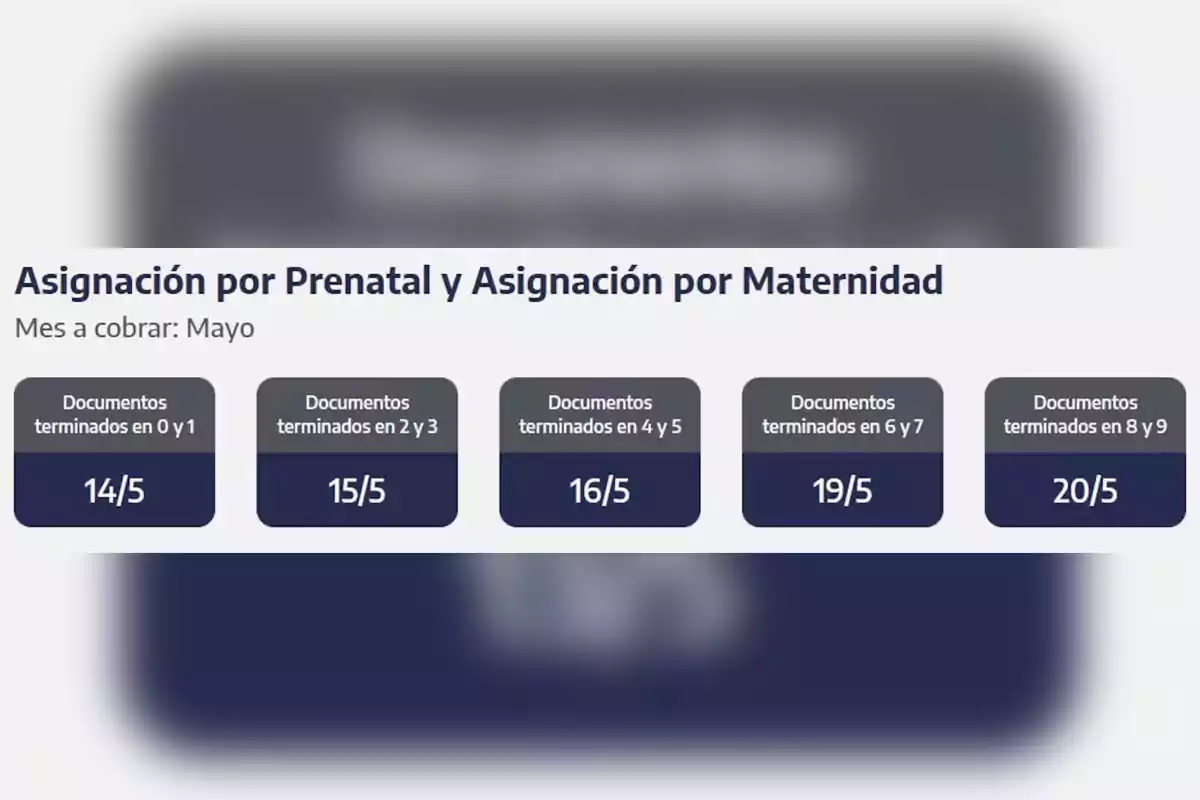 Calendario de pago para asignación por prenatal y maternidad en mayo, con fechas específicas según la terminación de documentos: 0 y 1 el 14/5, 2 y 3 el 15/5, 4 y 5 el 16/5, 6 y 7 el 19/5, 8 y 9 el 20/5. Calendario de pago para asignación por prenatal y maternidad en mayo, con fechas específicas según la terminación de documentos: 0 y 1 el 14/5, 2 y 3 el 15/5, 4 y 5 el 16/5, 6 y 7 el 19/5, 8 y 9 el 20/5.