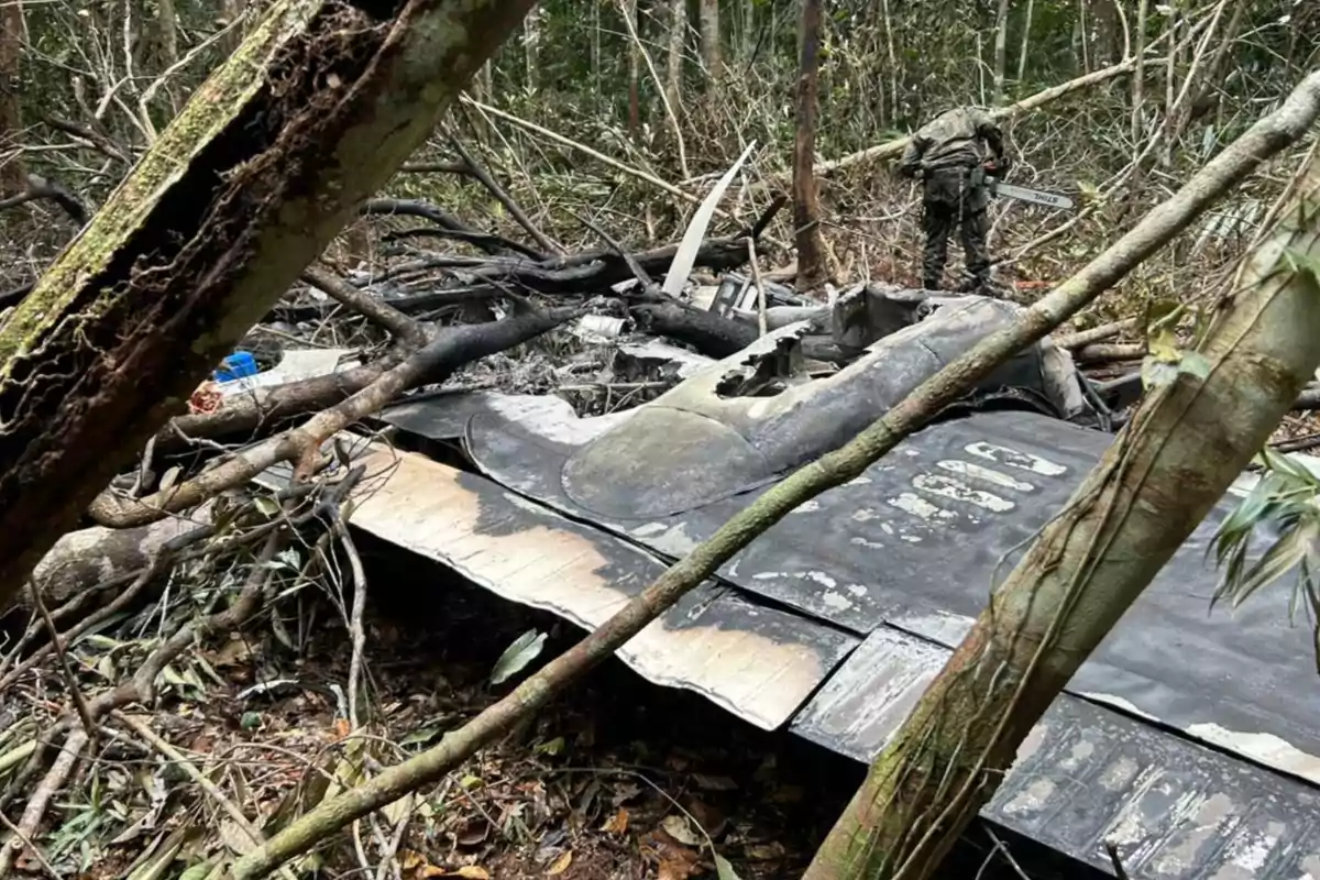 Un avión accidentado en medio de un bosque con un hombre usando una motosierra cerca de los restos.