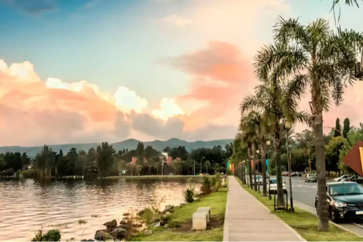 Paseo junto a un lago con palmeras y un camino pavimentado al atardecer.