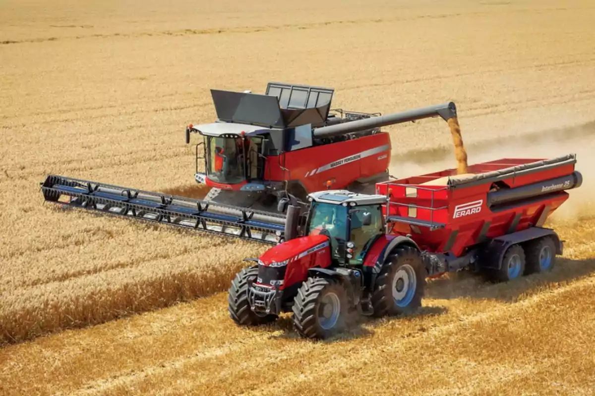 Cosechadora y tractor trabajando en un campo de trigo.