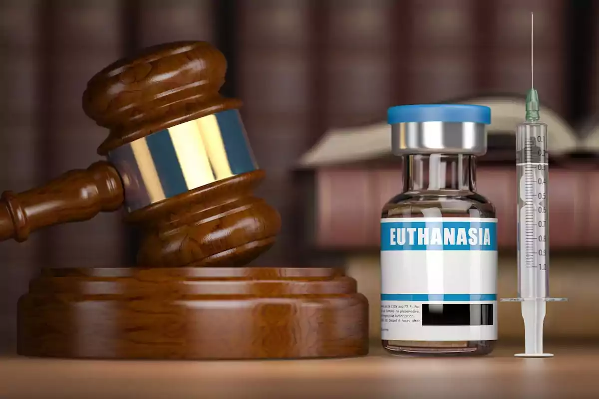 A judge’s gavel next to a jar labeled euthanasia and a syringe on a table with books in the background A judge’s gavel next to a jar labeled euthanasia and a syringe on a table with books in the background