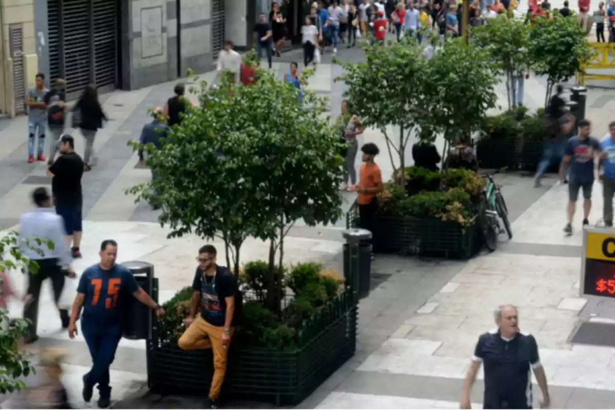 People walking and resting on a pedestrian street with trees and large planters in the city center