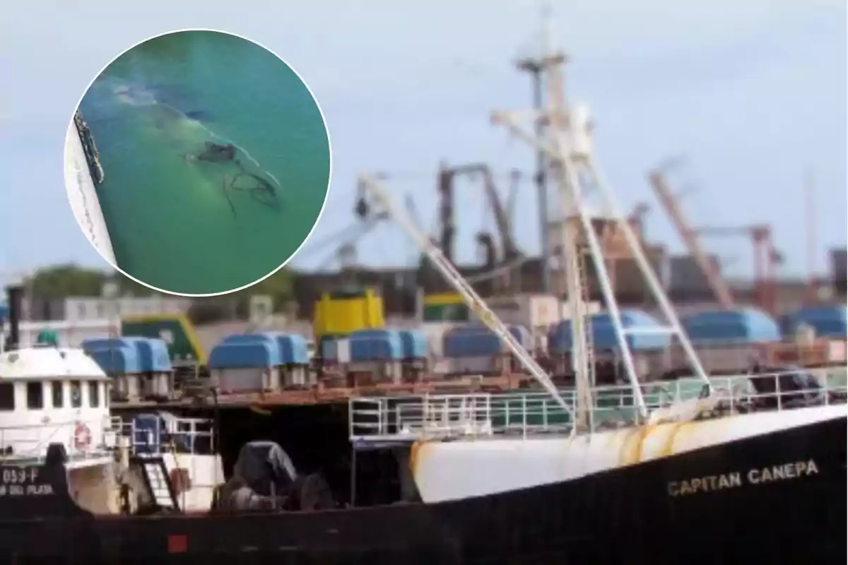 Un barco llamado "Capitán Cánepa" está atracado en un puerto y en un recuadro se muestra un barco hundido bajo el agua.