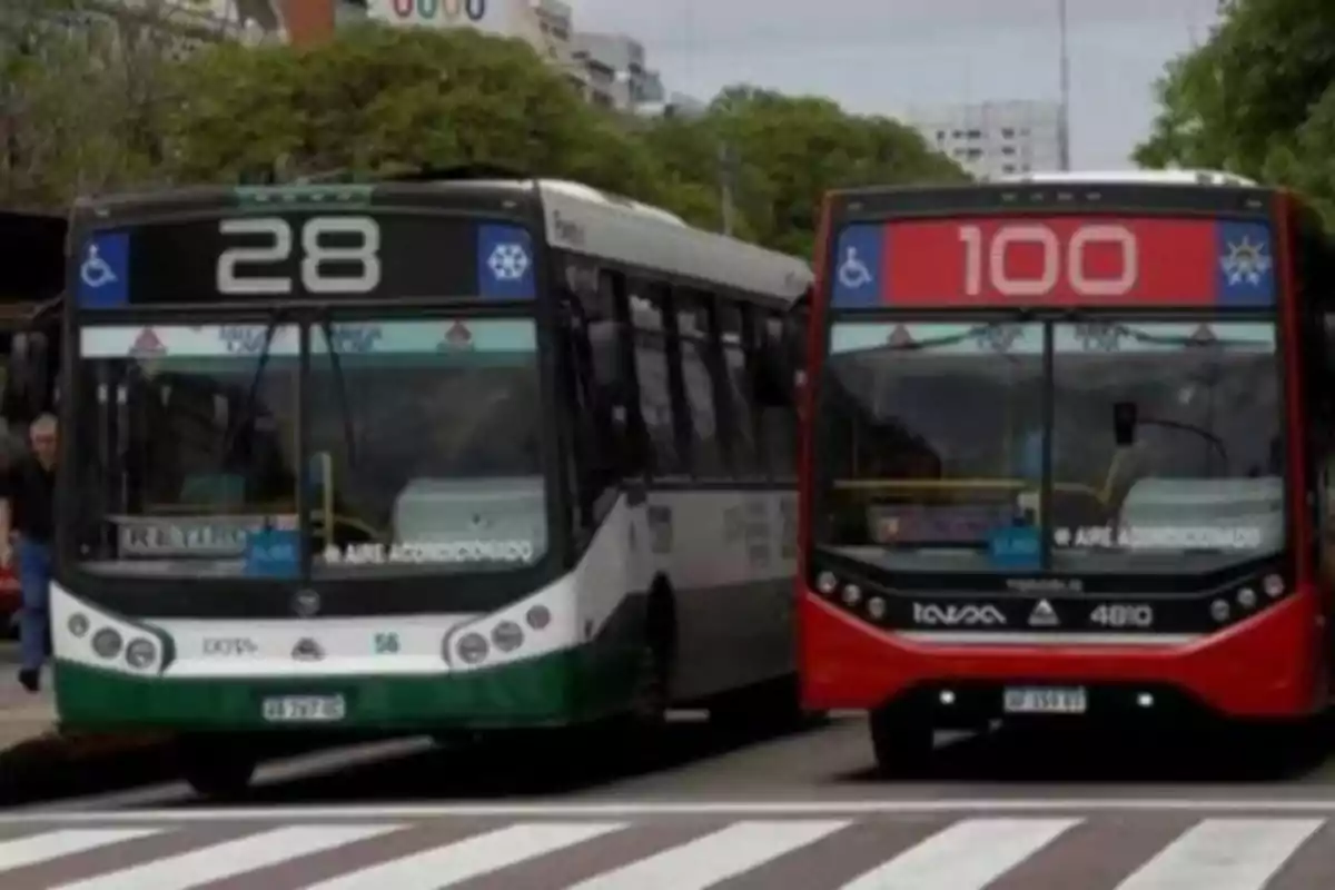 Dos autobuses en una calle, uno con el número 28 y otro con el número 100.