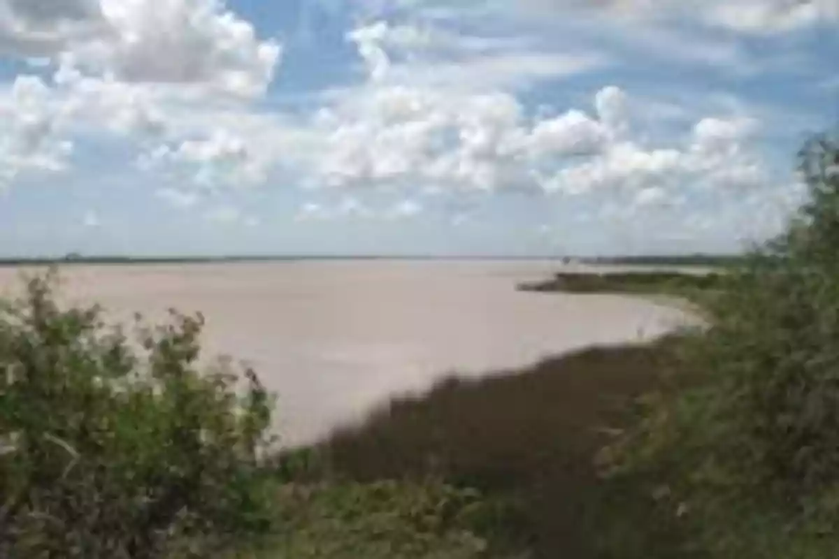 Vista de un río amplio con vegetación en la orilla y cielo parcialmente nublado.