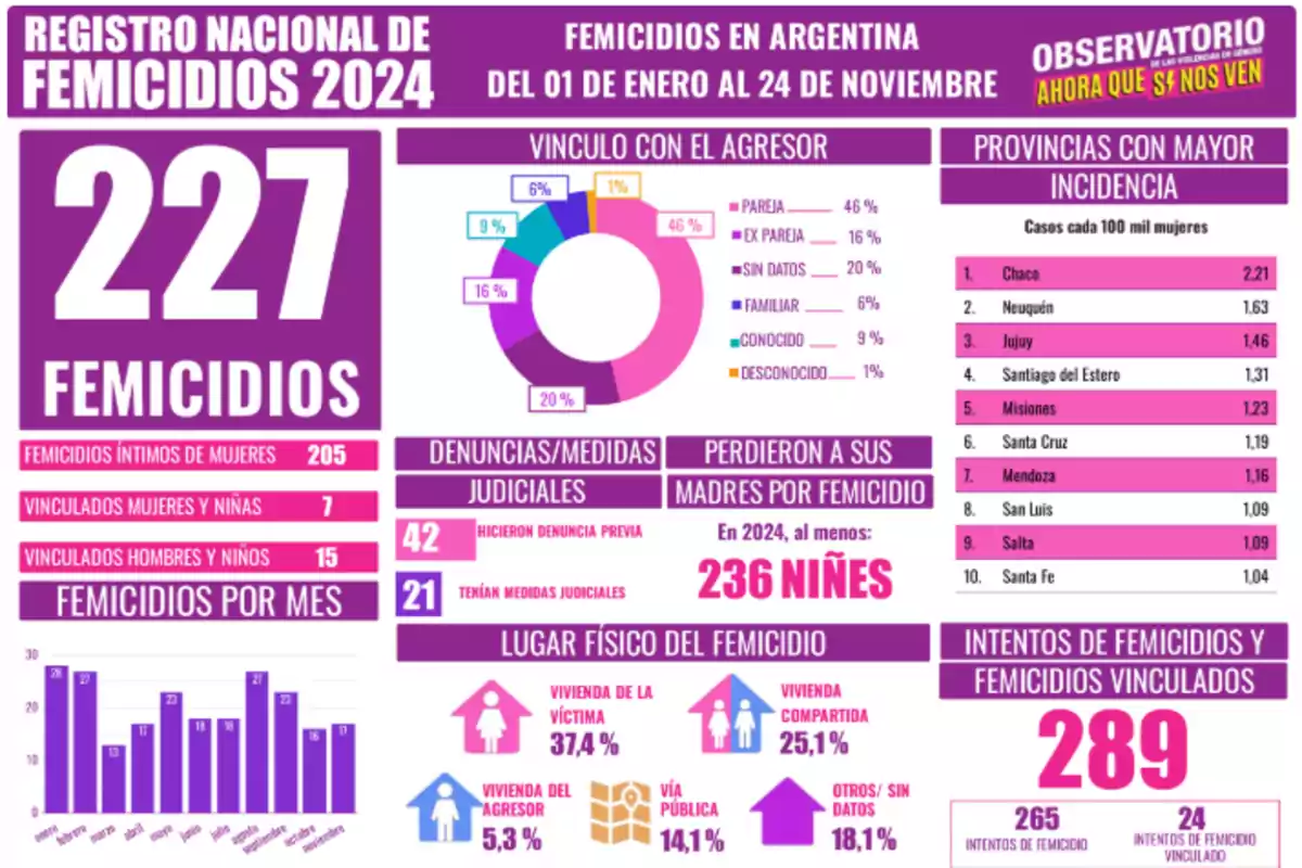 Infografía del Registro Nacional de Femicidios 2024 en Argentina que muestra 227 casos entre el 1 de enero y el 24 de noviembre. Se detalla el vínculo con el agresor, con un 46% siendo pareja. Las provincias con mayor incidencia son Chaco, Neuquén y Jujuy. Se reportan 42 denuncias previas y 21 medidas judiciales. Al menos 236 niños perdieron a sus madres. Los lugares más comunes de los femicidios son la vivienda de la víctima y la vivienda compartida. Además, se registran 289 intentos de femicidios y femicidios vinculados.