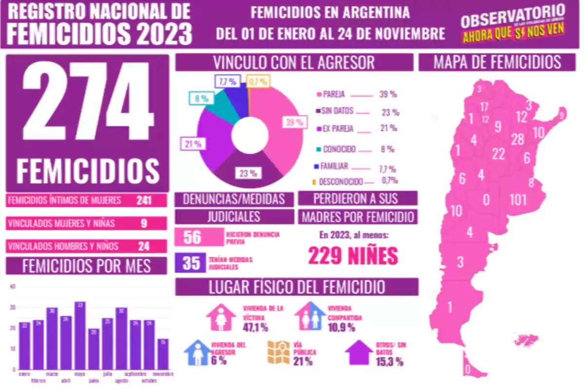 Infografía del Registro Nacional de Femicidios 2023 en Argentina mostrando 274 casos hasta el 24 de noviembre. Se detalla el vínculo con el agresor, con un 39% siendo pareja, y un mapa de distribución geográfica. Se reportan 241 femicidios íntimos de mujeres, 9 vinculados a mujeres y niñas, y 24 a hombres y niños. Se indica que 56 víctimas hicieron denuncia previa y 35 tenían medidas judiciales. En 2023, al menos 229 niños perdieron a sus madres por femicidio. El lugar físico del femicidio incluye vivienda de la víctima (47,1%), vivienda compartida (10,9%), y vía pública (21%).