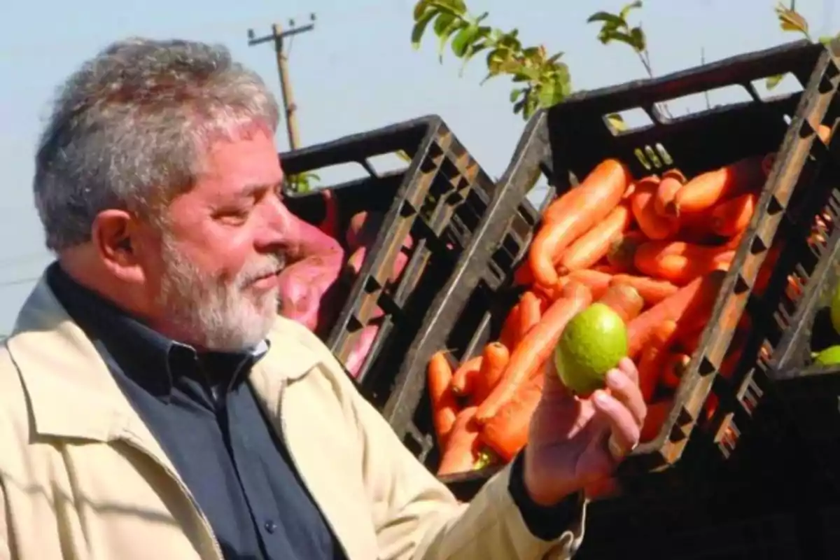 Un hombre con barba observa una fruta verde mientras está frente a cajas llenas de zanahorias.