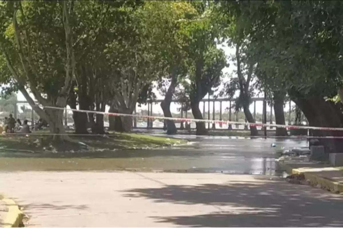 Una calle rodeada de árboles está acordonada con cinta de seguridad, posiblemente debido a una inundación.