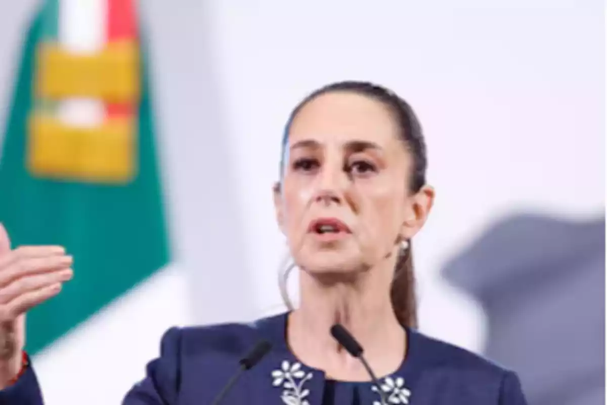 A person speaking at a podium with a microphone and a flag in the background.