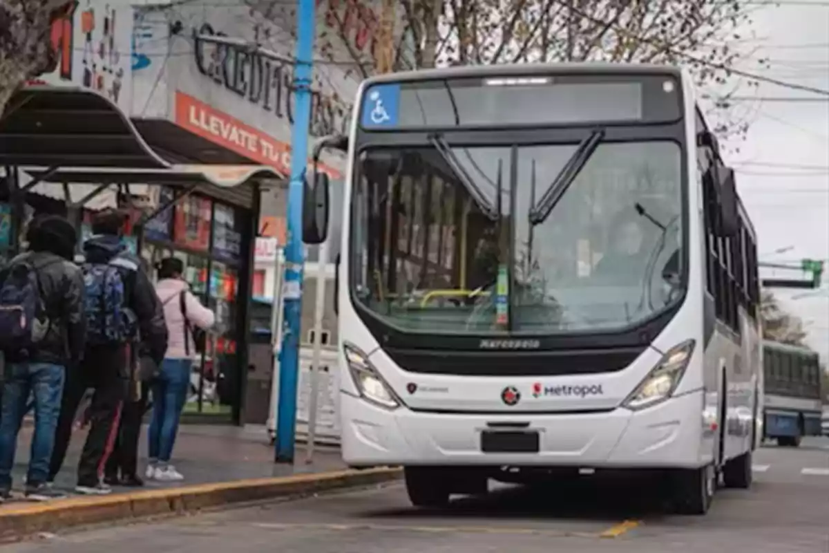Un autobús blanco de transporte público se detiene en una parada mientras varias personas esperan en fila para abordar. Un autobús blanco de transporte público se detiene en una parada mientras varias personas esperan en fila para abordar.