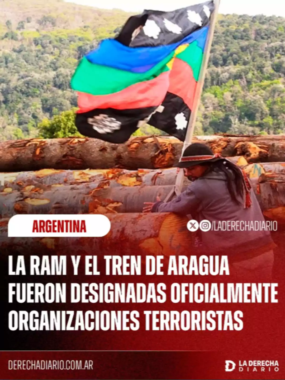 A person holds a multicolored flag in a natural setting with tree trunks and a forest background, alongside text mentioning organizations designated as terrorists in Argentina. A person holds a multicolored flag in a natural setting with tree trunks and a forest background, alongside text mentioning organizations designated as terrorists in Argentina.