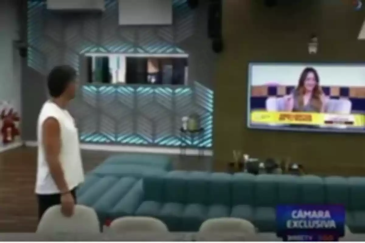Un hombre de pie en una sala moderna observa un televisor que muestra a una mujer hablando. Un hombre de pie en una sala moderna observa un televisor que muestra a una mujer hablando.