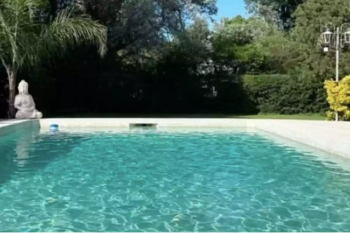 Piscina al aire libre rodeada de vegetación con una estatua de Buda en una esquina Piscina al aire libre rodeada de vegetación con una estatua de Buda en una esquina