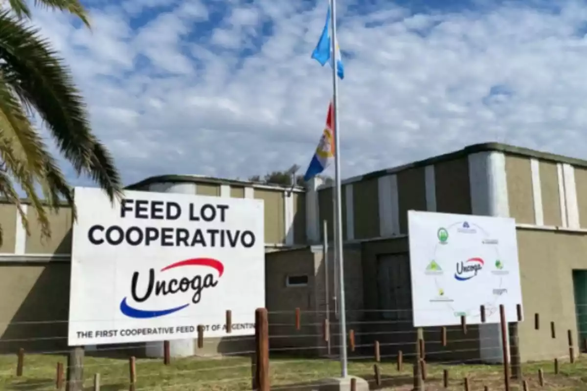 El primer feedlot cooperativo del país estará ubicado en Humboldt, Santa Fe