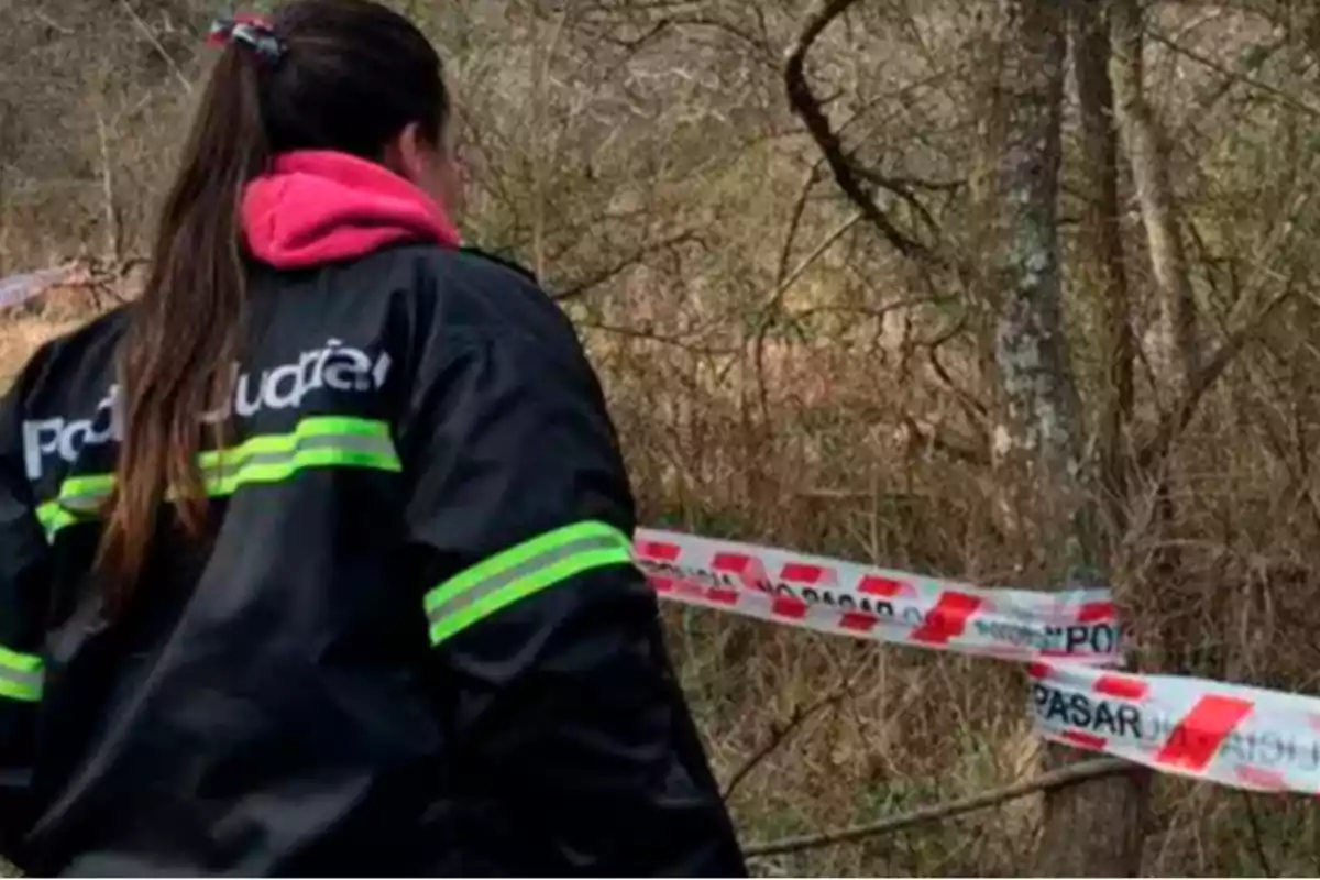 Woman wearing a judicial police jacket observing a cordoned-off area in a wooded area Woman wearing a judicial police jacket observing a cordoned-off area in a wooded area