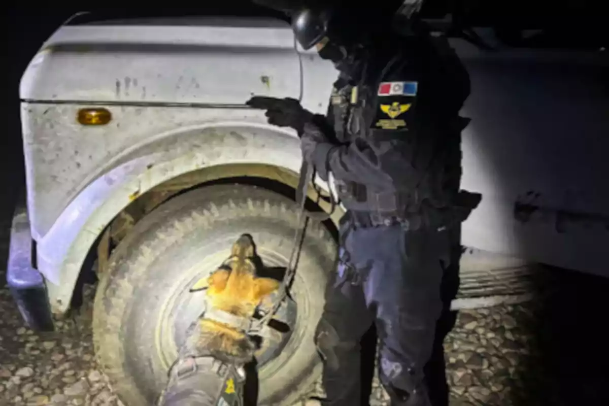 A police officer in tactical uniform and a trained German Shepherd are standing next to a white van during a nighttime inspection.