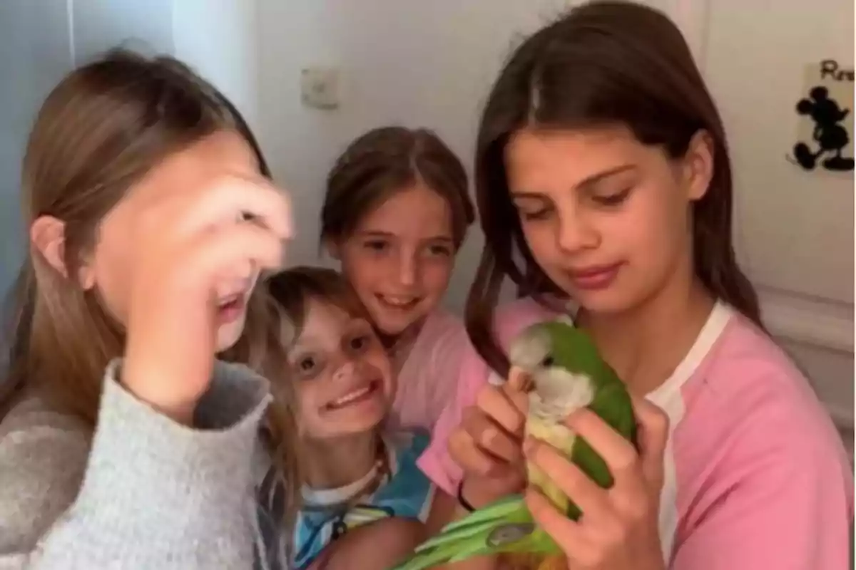 Four girls smile while one of them holds a green parrot in her hands inside a room. Four girls smile while one of them holds a green parrot in her hands inside a room.