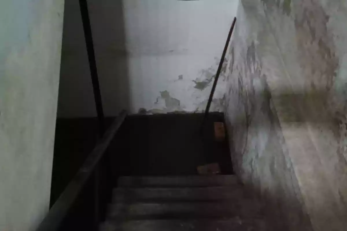 Escalera de concreto descendente con paredes desgastadas y un palo apoyado en la esquina inferior Escalera de concreto descendente con paredes desgastadas y un palo apoyado en la esquina inferior