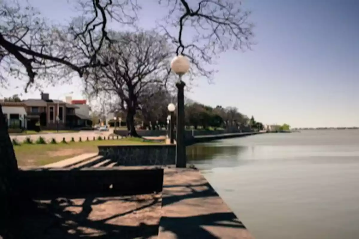 Vista de un paseo junto al río con árboles sin hojas y farolas en un día soleado.