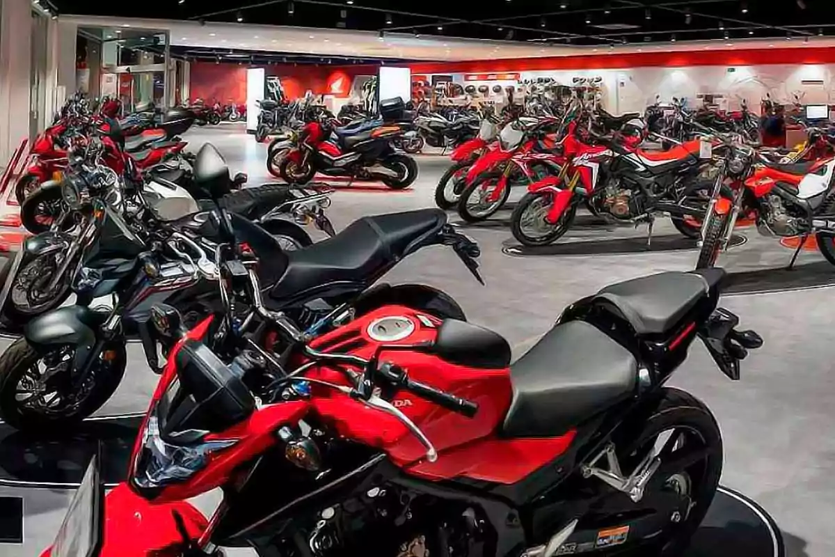 Una sala de exposición llena de motocicletas de diferentes modelos y colores, principalmente rojas.