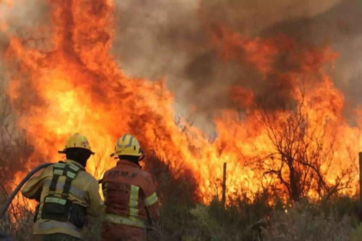 Bomberos combatiendo un incendio forestal con llamas intensas y humo denso.