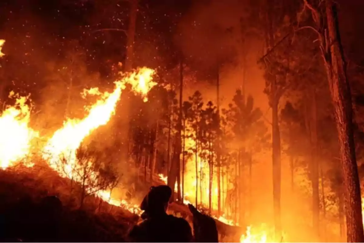 Incendios en Córdoba: esta es toda la ayuda que le mandó Javier Milei a la provincia