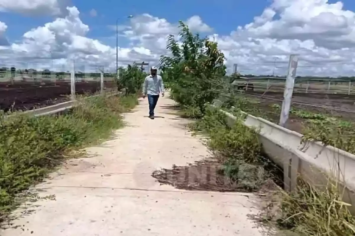 Un hombre camina por un camino rodeado de vegetación y cercas bajo un cielo parcialmente nublado.