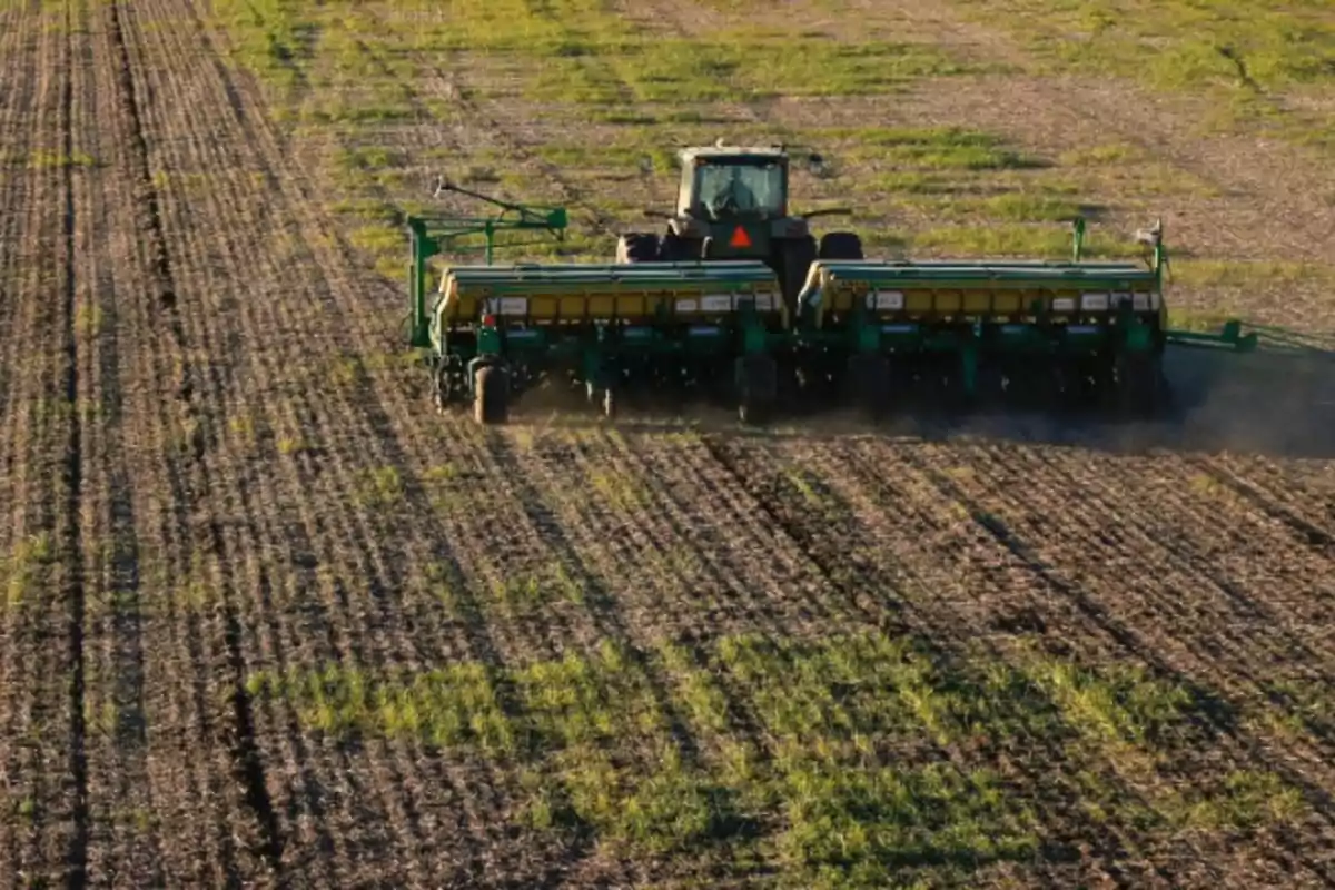 Tractor agrícola trabajando en un campo sembrado con hileras de cultivo y vegetación dispersa Tractor agrícola trabajando en un campo sembrado con hileras de cultivo y vegetación dispersa