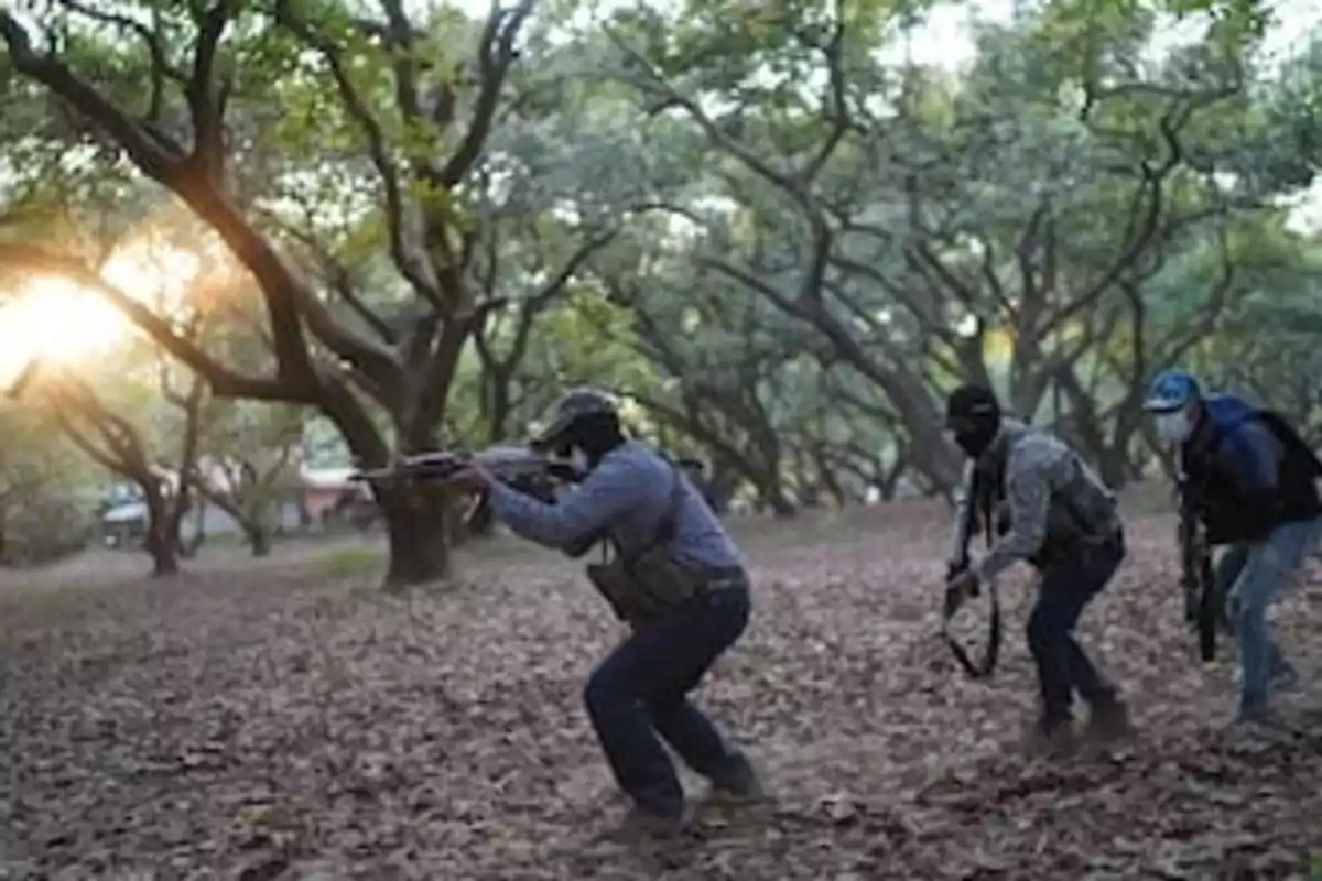 Three armed people move through trees in a forest with sunset light filtering through the branches.