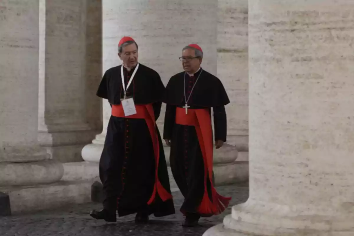 Dos cardenales caminando juntos entre columnas de piedra.