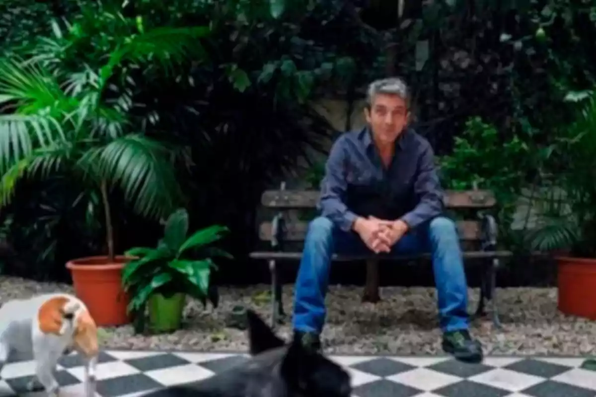 Un hombre sentado en un banco de madera en un jardín rodeado de plantas con dos perros en primer plano. Un hombre sentado en un banco de madera en un jardín rodeado de plantas con dos perros en primer plano.