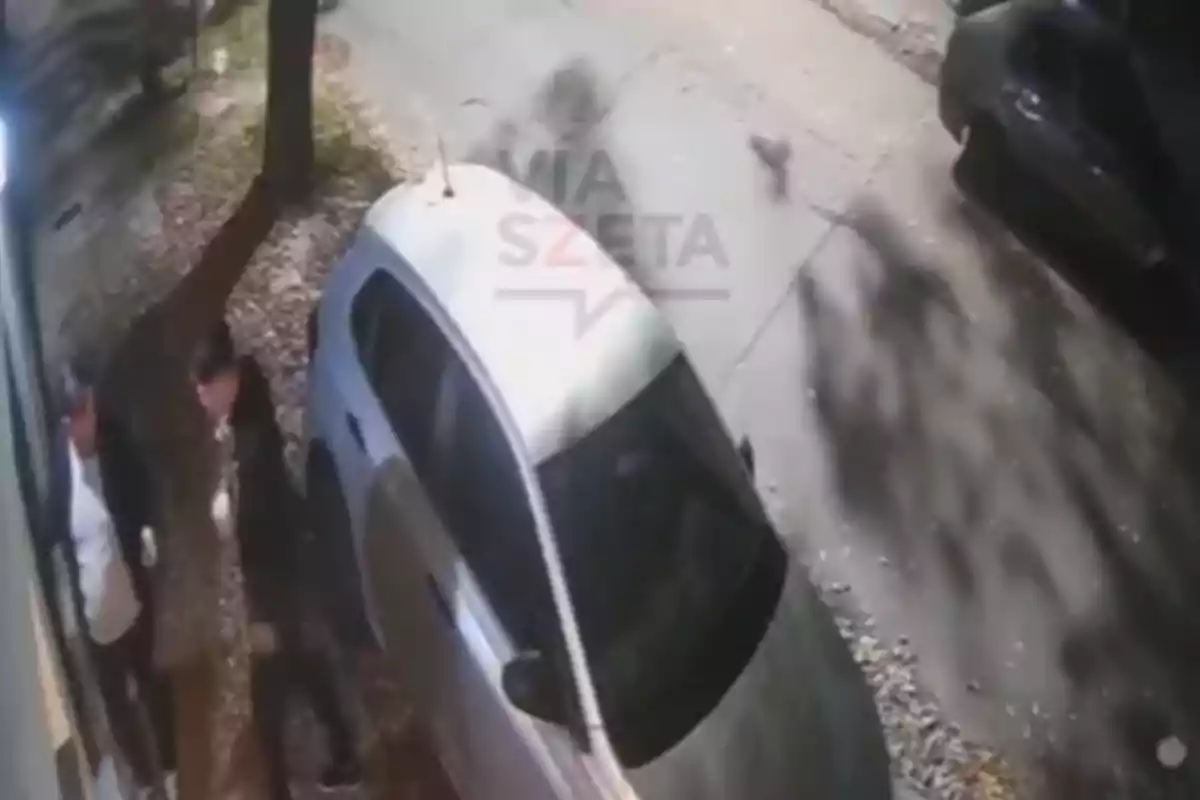 Two people are standing next to a car parked on a tree-lined street.