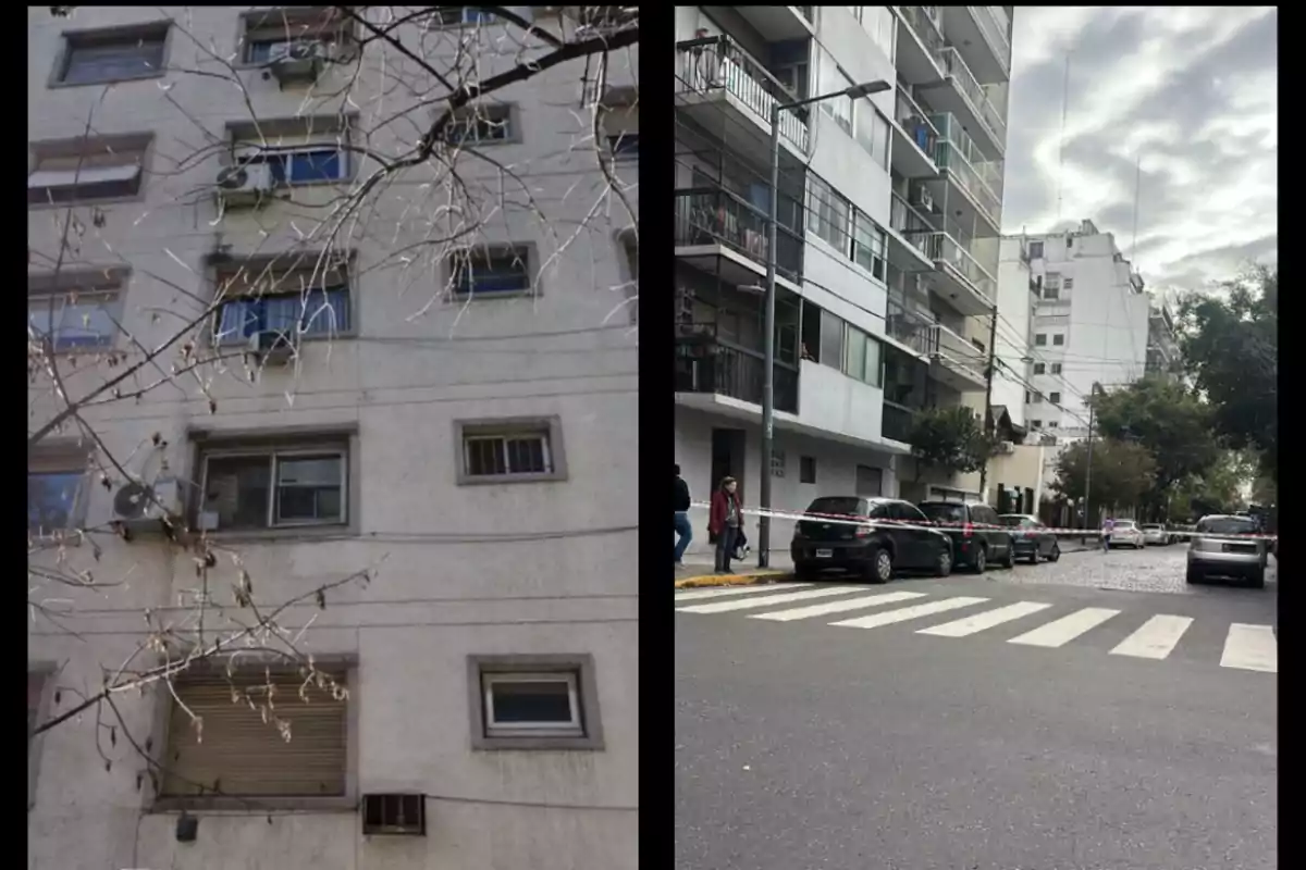Edificio de apartamentos con ventanas y ramas de árbol en primer plano a la izquierda y una calle con varios vehículos estacionados frente a otro edificio a la derecha. Edificio de apartamentos con ventanas y ramas de árbol en primer plano a la izquierda y una calle con varios vehículos estacionados frente a otro edificio a la derecha.