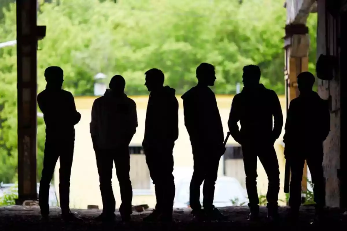Seis personas de pie en la sombra dentro de un edificio con un fondo de árboles verdes Seis personas de pie en la sombra dentro de un edificio con un fondo de árboles verdes