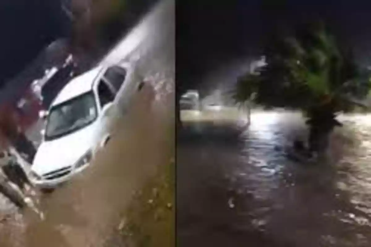 Flooded street at night with a partially submerged white car and a palm tree surrounded by water