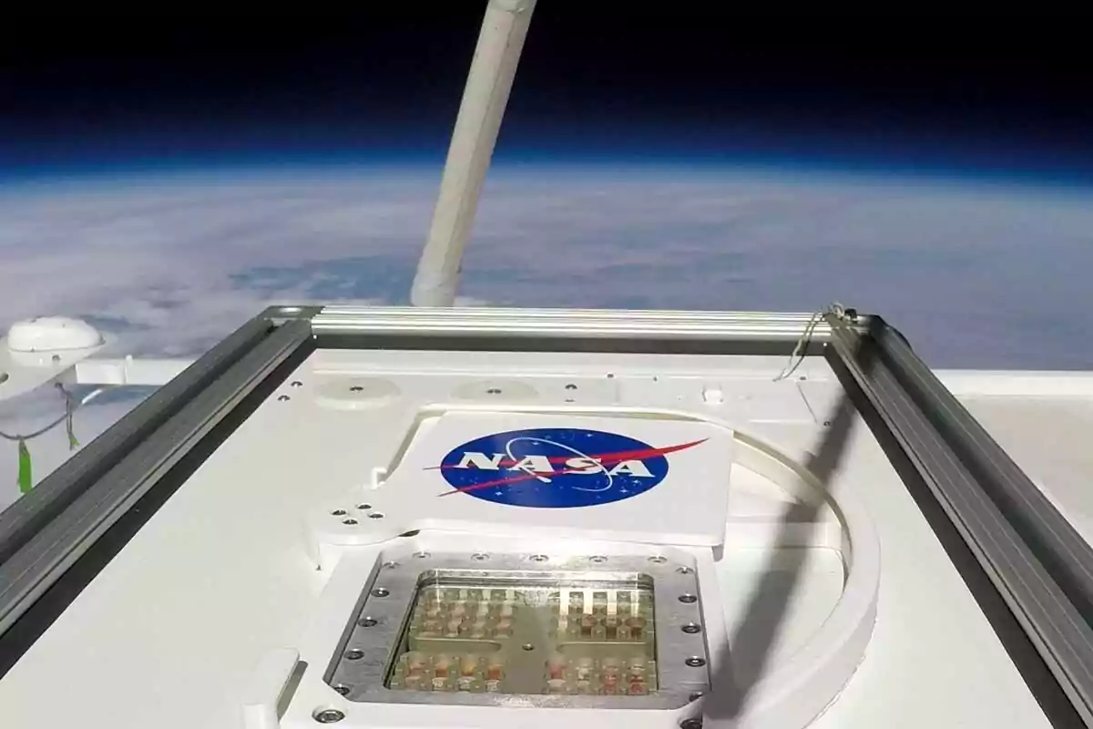 Vista de un dispositivo de la NASA en el espacio con la Tierra y el horizonte curvado al fondo. Vista de un dispositivo de la NASA en el espacio con la Tierra y el horizonte curvado al fondo.