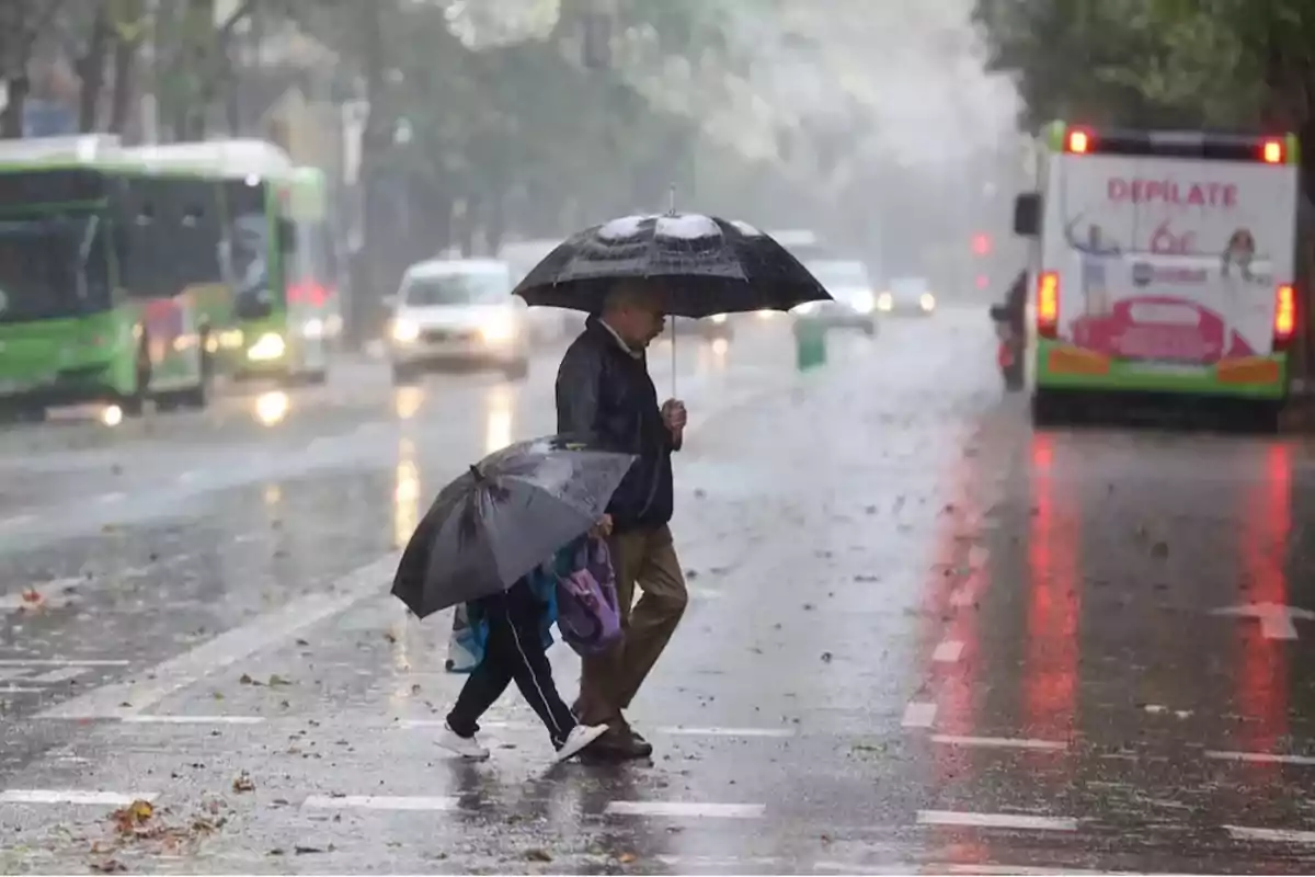 Una persona mayor y un niño cruzan una calle bajo la lluvia con paraguas mientras los vehículos pasan por la carretera.