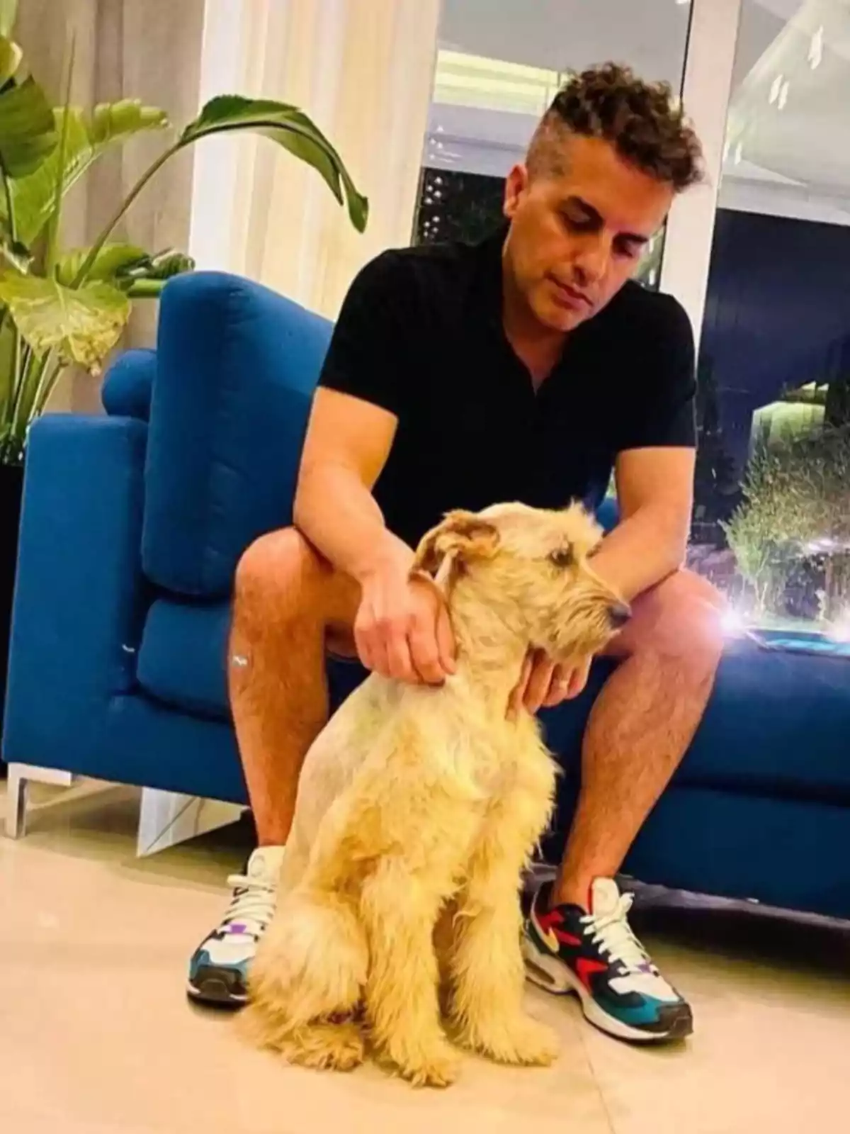 Hombre sentado en un sillón azul acariciando a un perro de pelaje claro en una sala moderna Hombre sentado en un sillón azul acariciando a un perro de pelaje claro en una sala moderna