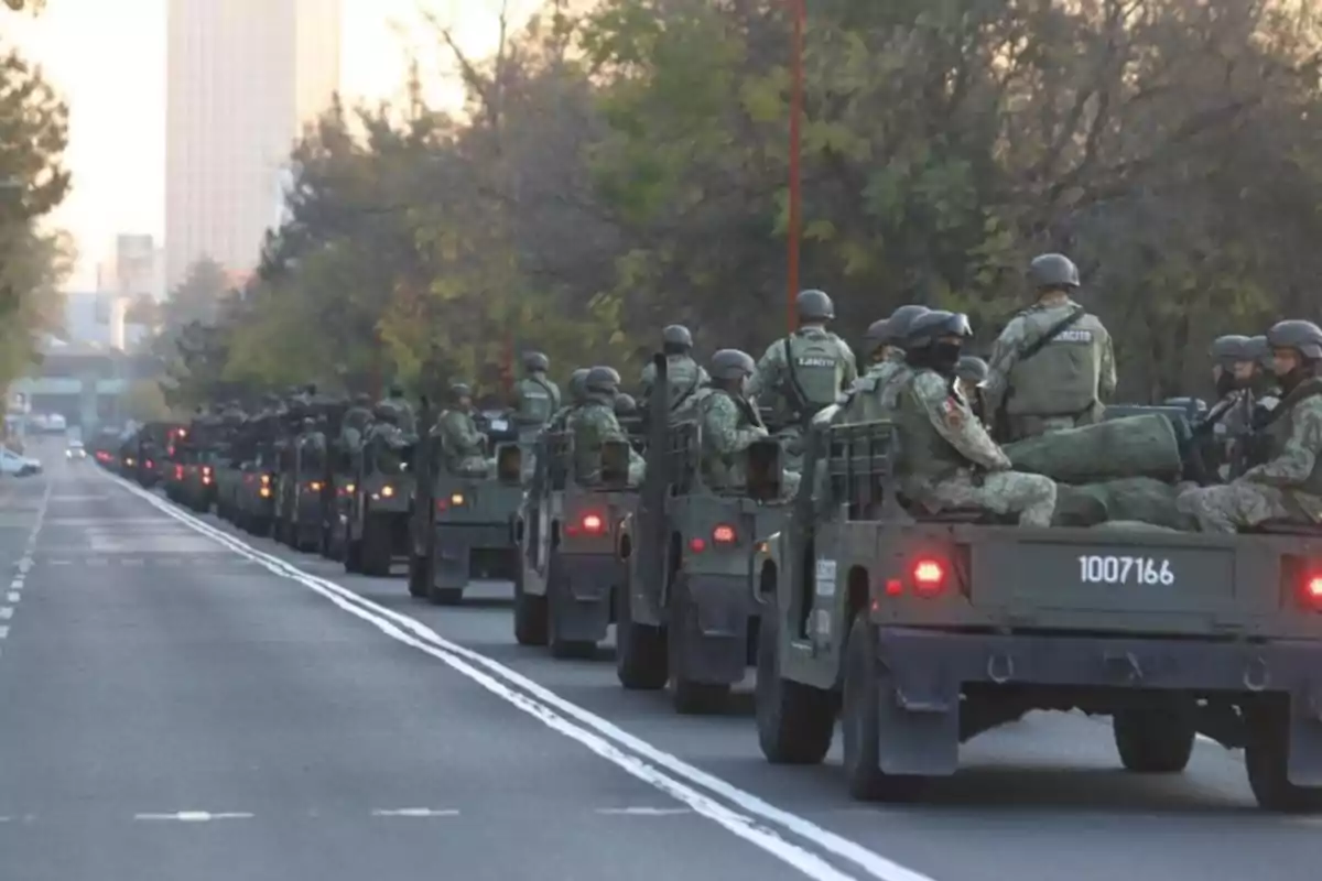 Un convoy de vehículos militares circula por una carretera rodeada de árboles.