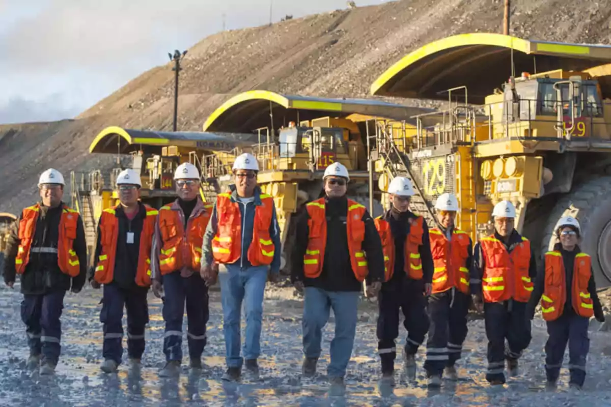 A group of workers with helmets and safety vests walks in front of large trucks at a mining site.